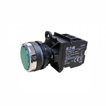 a22-rltr-gn/k10f   Stayput Illuminated P/B (Green)