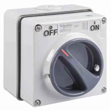 s56sw110gy   Weather Protected 250V 10A SP Switch (IP66)
